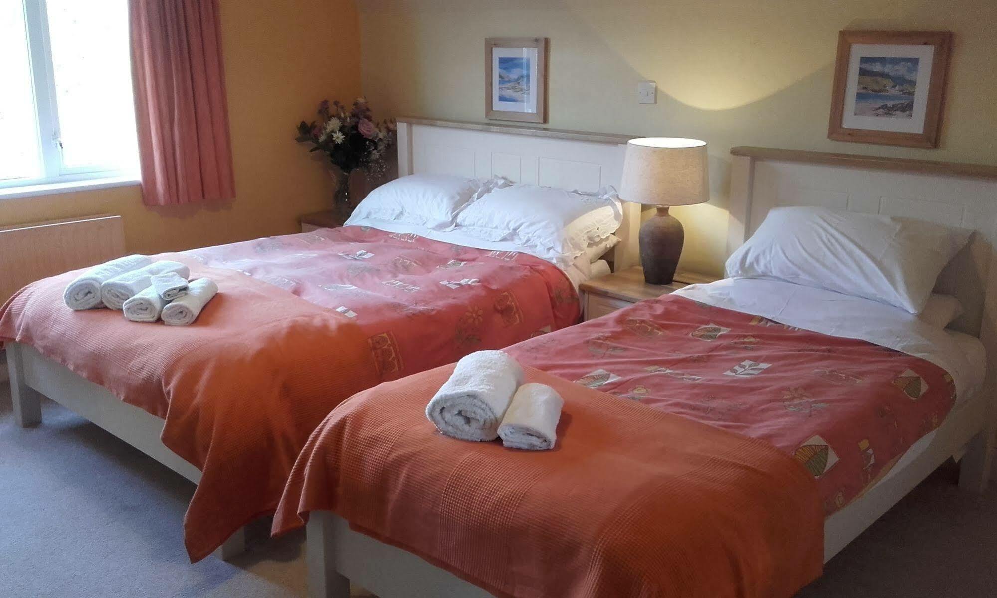 Blossom Hill Bed And Breakfast Killaloe Extérieur photo